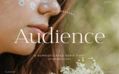 Audience Font