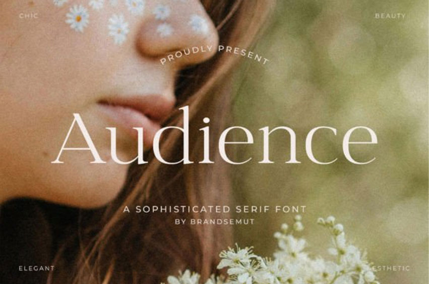 Audience Font