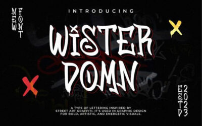 Wister Domn Font