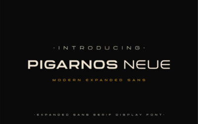 Pigarnos Neue Font