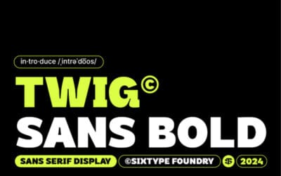 Twig Sans Bold Font