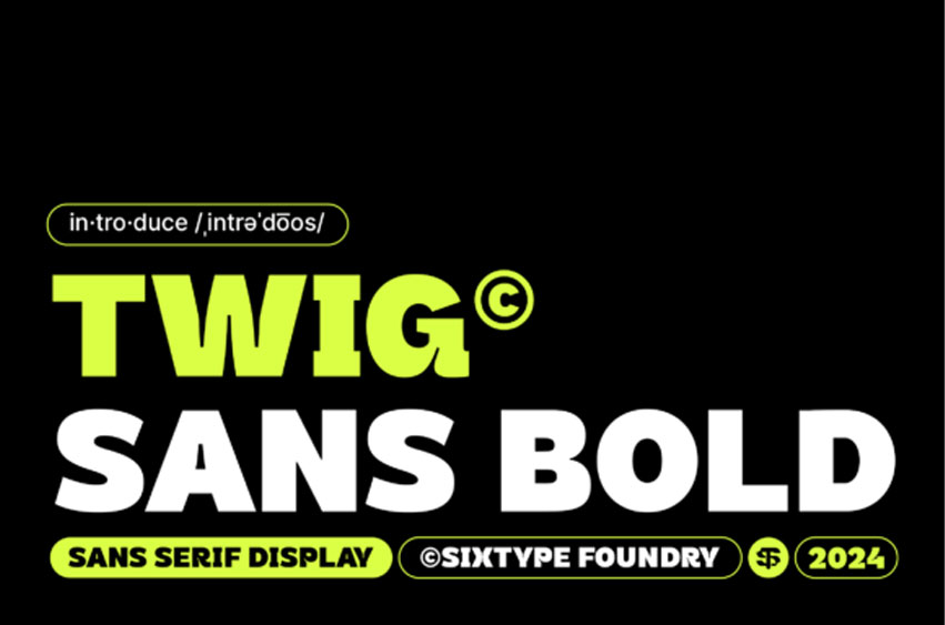 Twig Sans Bold Font