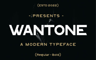 Wantone Font