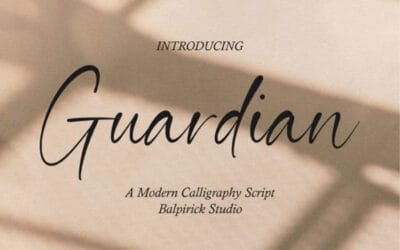 Guardian Font