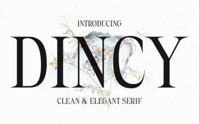 Dincy Font