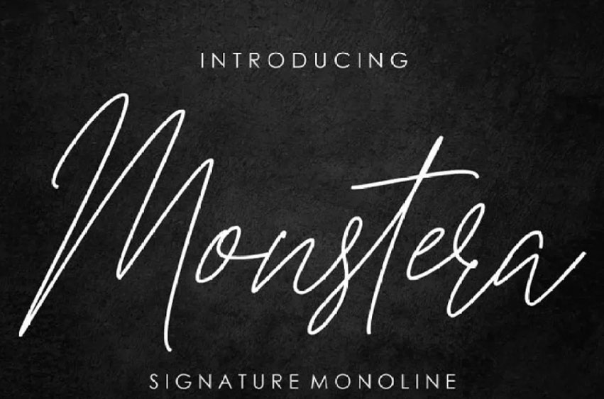 Monstera Monoline Font