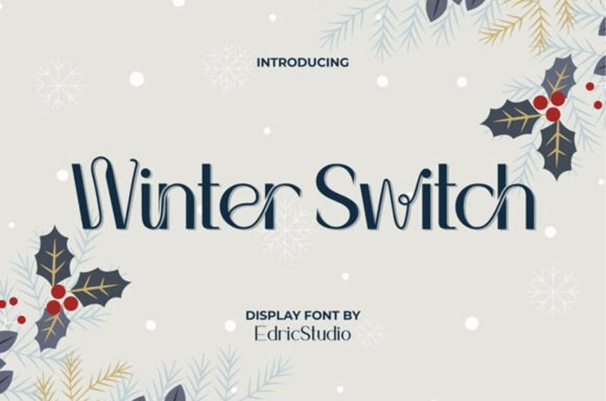 Winter Switch Font