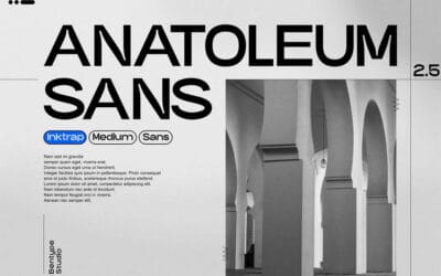 Anatoleum Sans Font