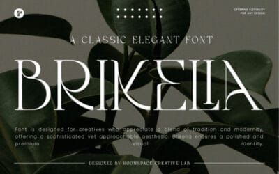 Brikelia Font