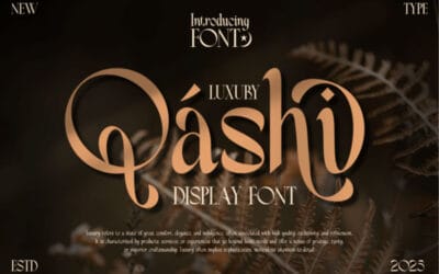 Qashi Font