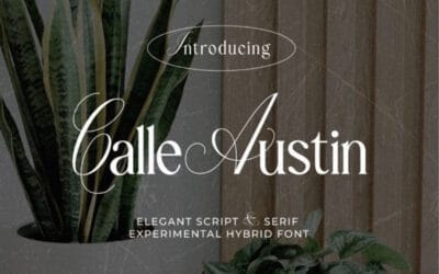 Calle Austin Font