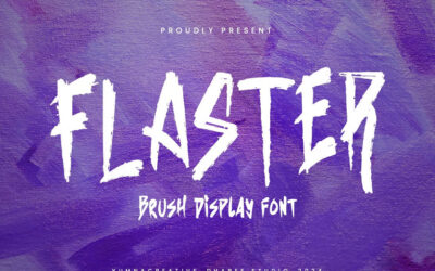 Flaster Font