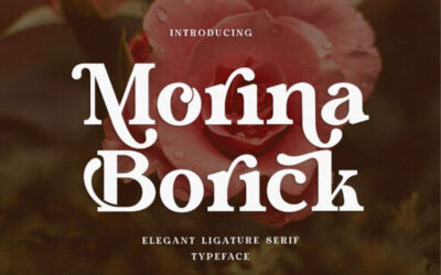 Morina Borick Font