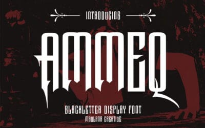 Ammeq Font
