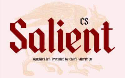Salient Font