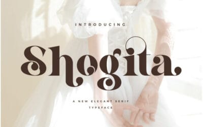 Shogita Font