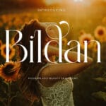 Bildan Font