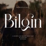 Bilgin Font