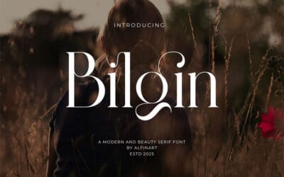 Bilgin Font