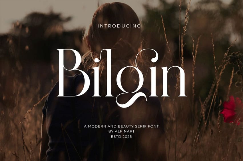 Bilgin Font