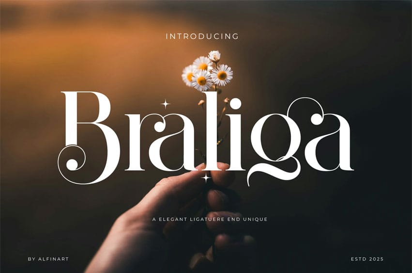 Braliga Font