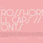 Crosshorn Font