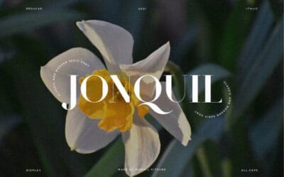 Jonquil Font