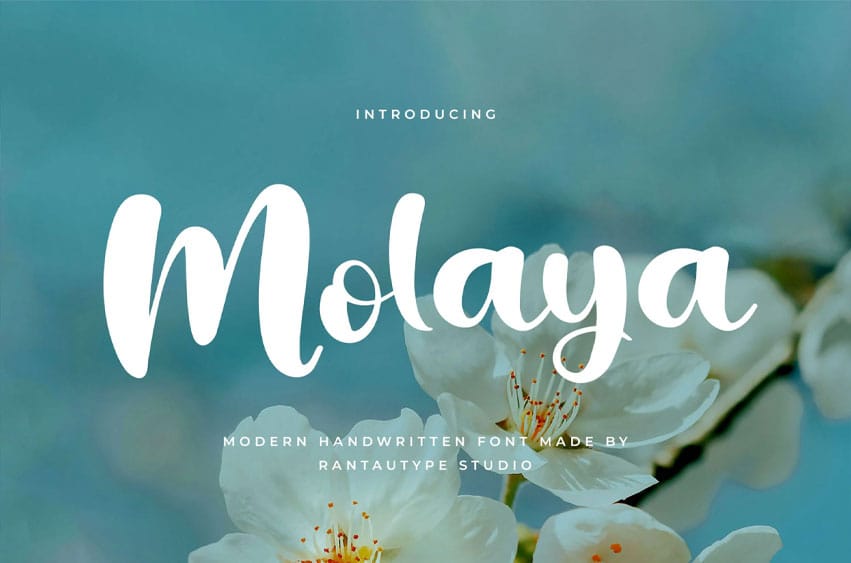 Molaya Font