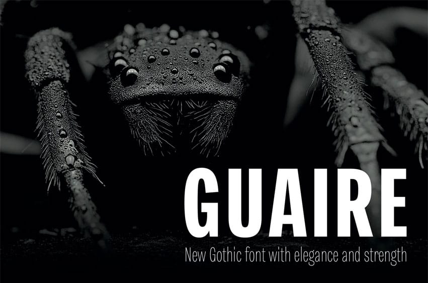 RNS Guaire Font