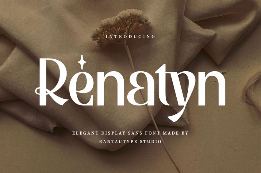 Renatyn Font