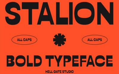 Stallion Retro Font