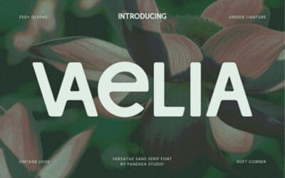 Vaelia Font