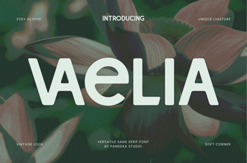 Vaelia Font