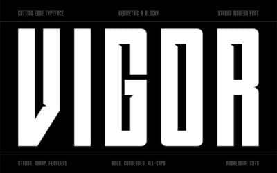 Vigor Bold Font
