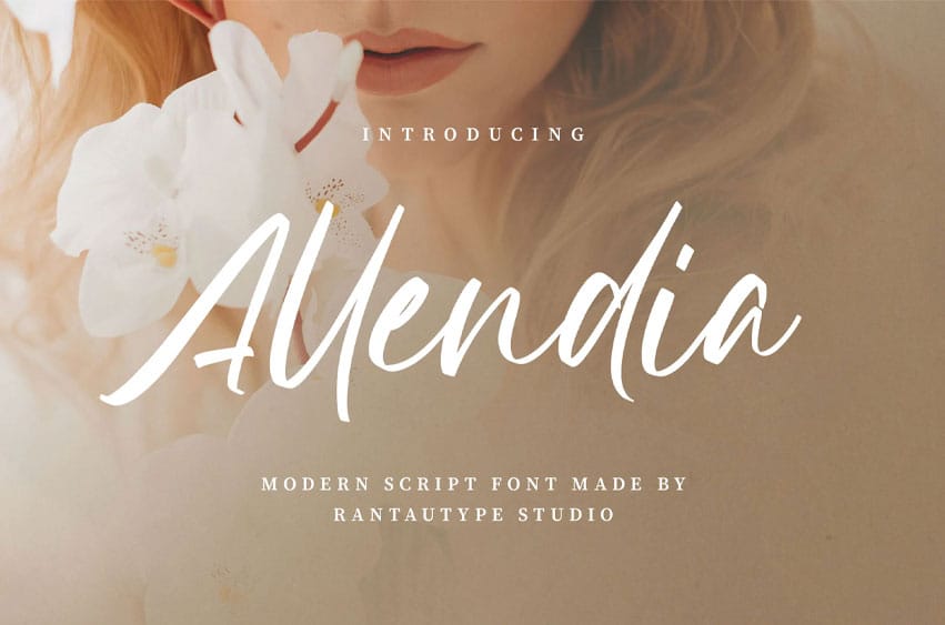 Allendia Font