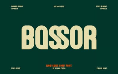 Bassor Font