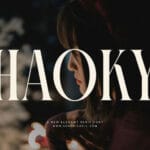 Haoky Font