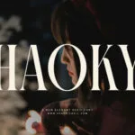 Haoky Font