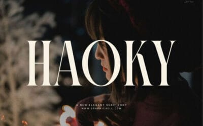 Haoky Font