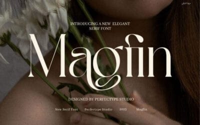 Magfin Font