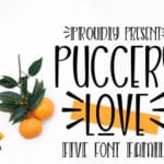 Puccery Love Font
