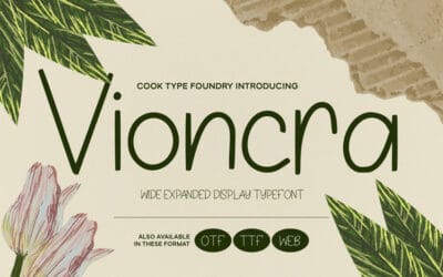 Vioncra Font