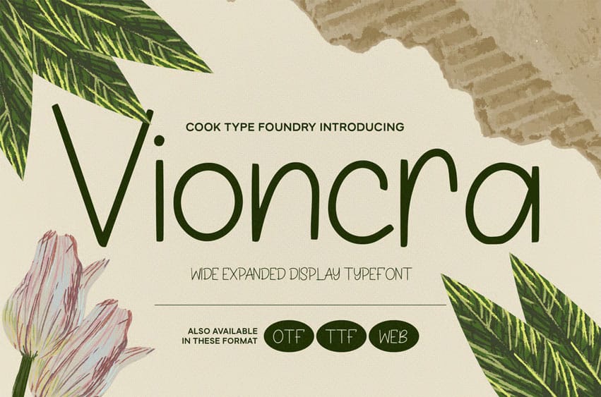 Vioncra Font