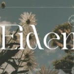 Eiden Font