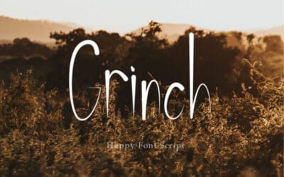 Grinch Happy Font