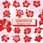 Hibiscus Dingbat Font