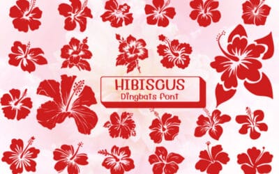 Hibiscus Dingbat Font
