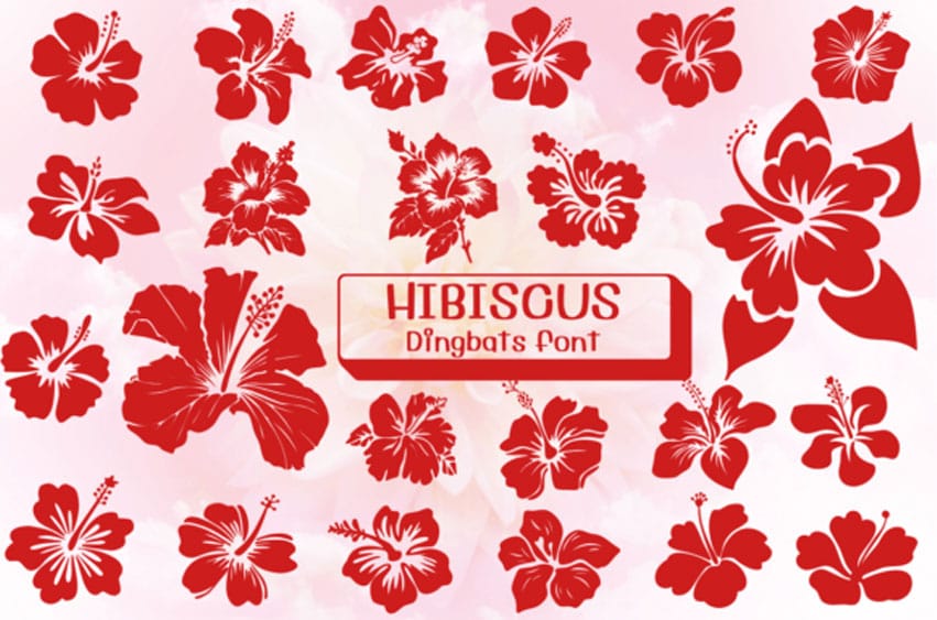 Hibiscus Dingbat Font