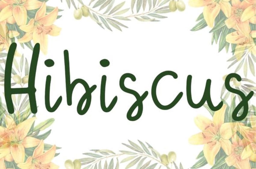 Hibiscus Font