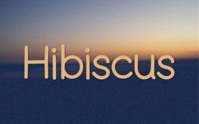 Hibiscus Sans Font